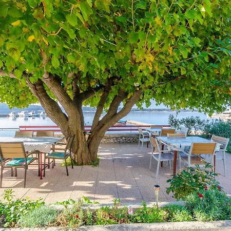 Apartmán Zoran *