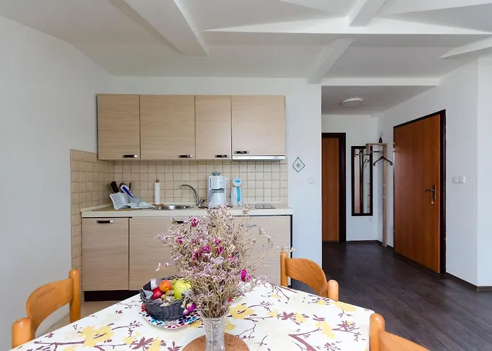 Апартаменты Zoran Банёл